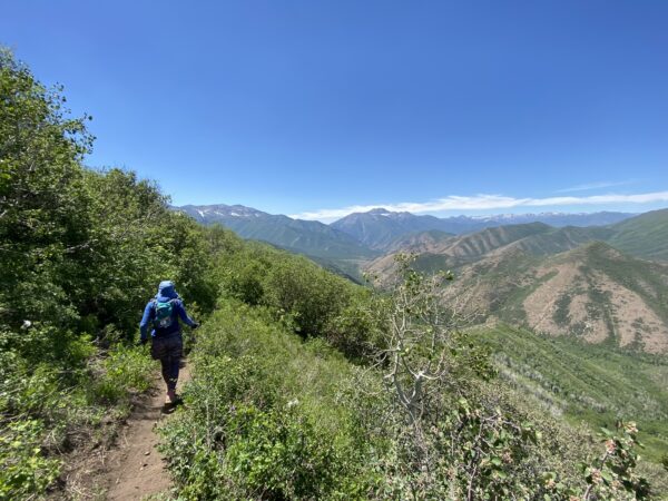 Snow Peaks course with Mt. Timpanogos in the distance