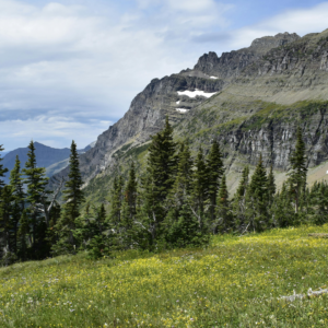 Copper Kings 100 Mile